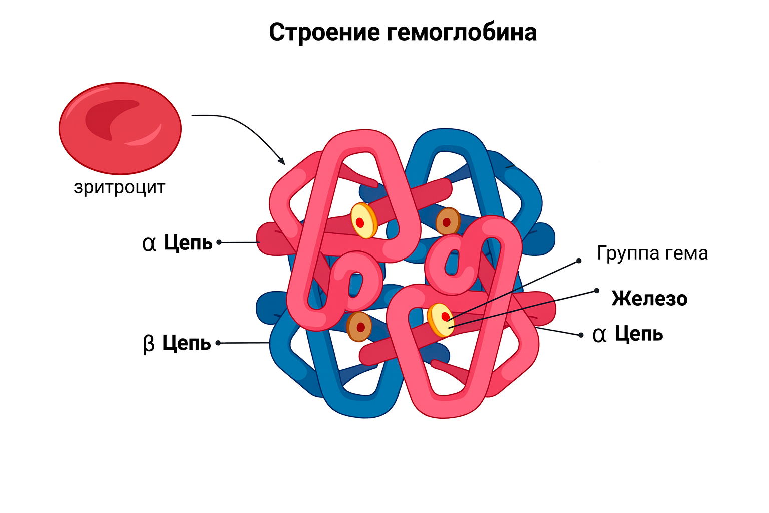 Гемоглобин