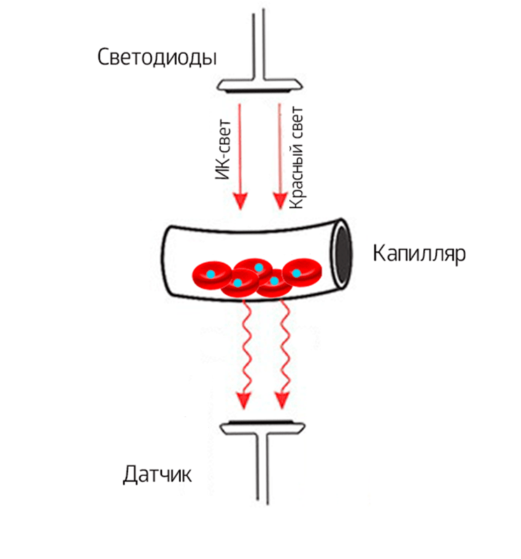 NEYROX оксигенация