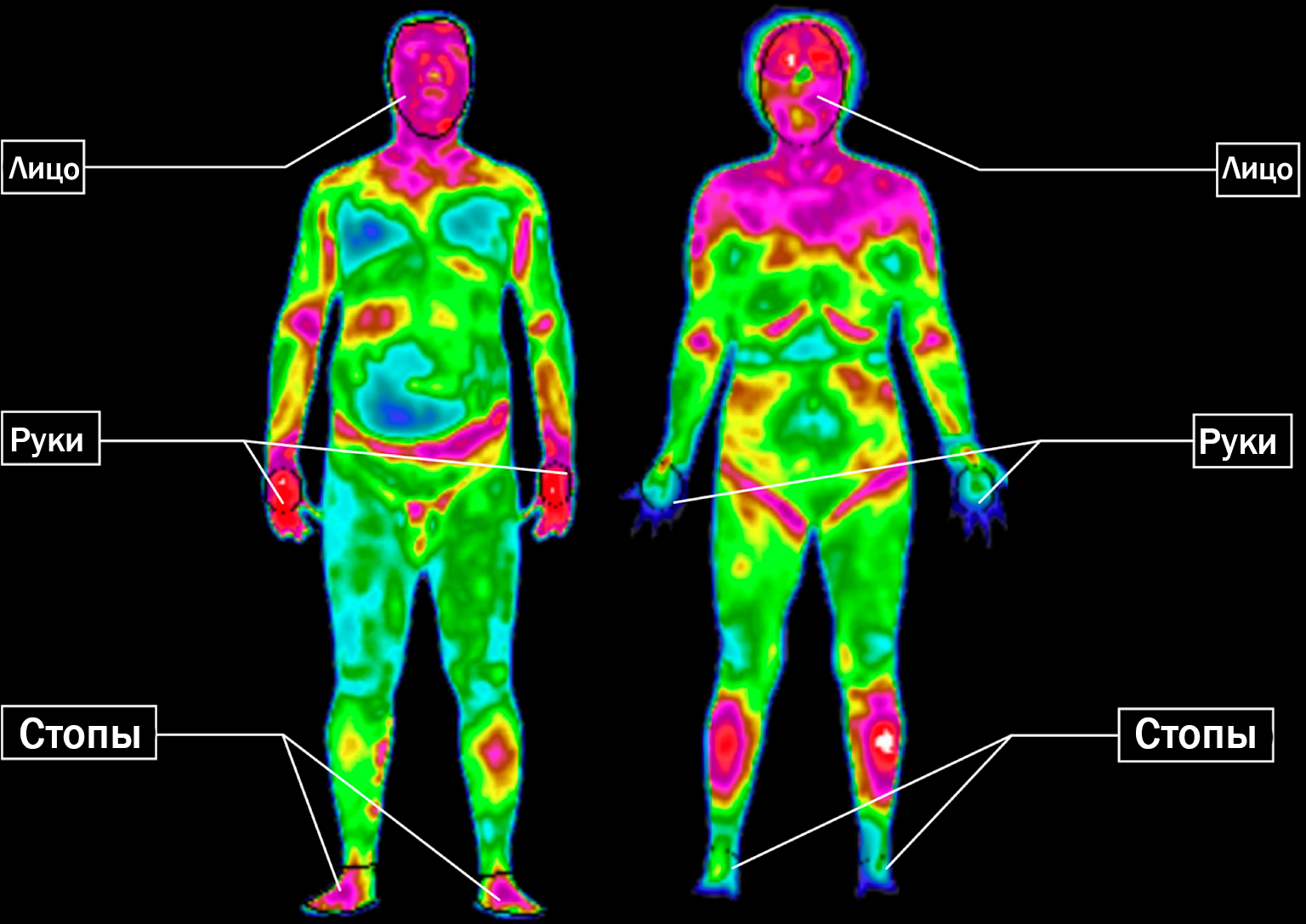 Тепловая карта